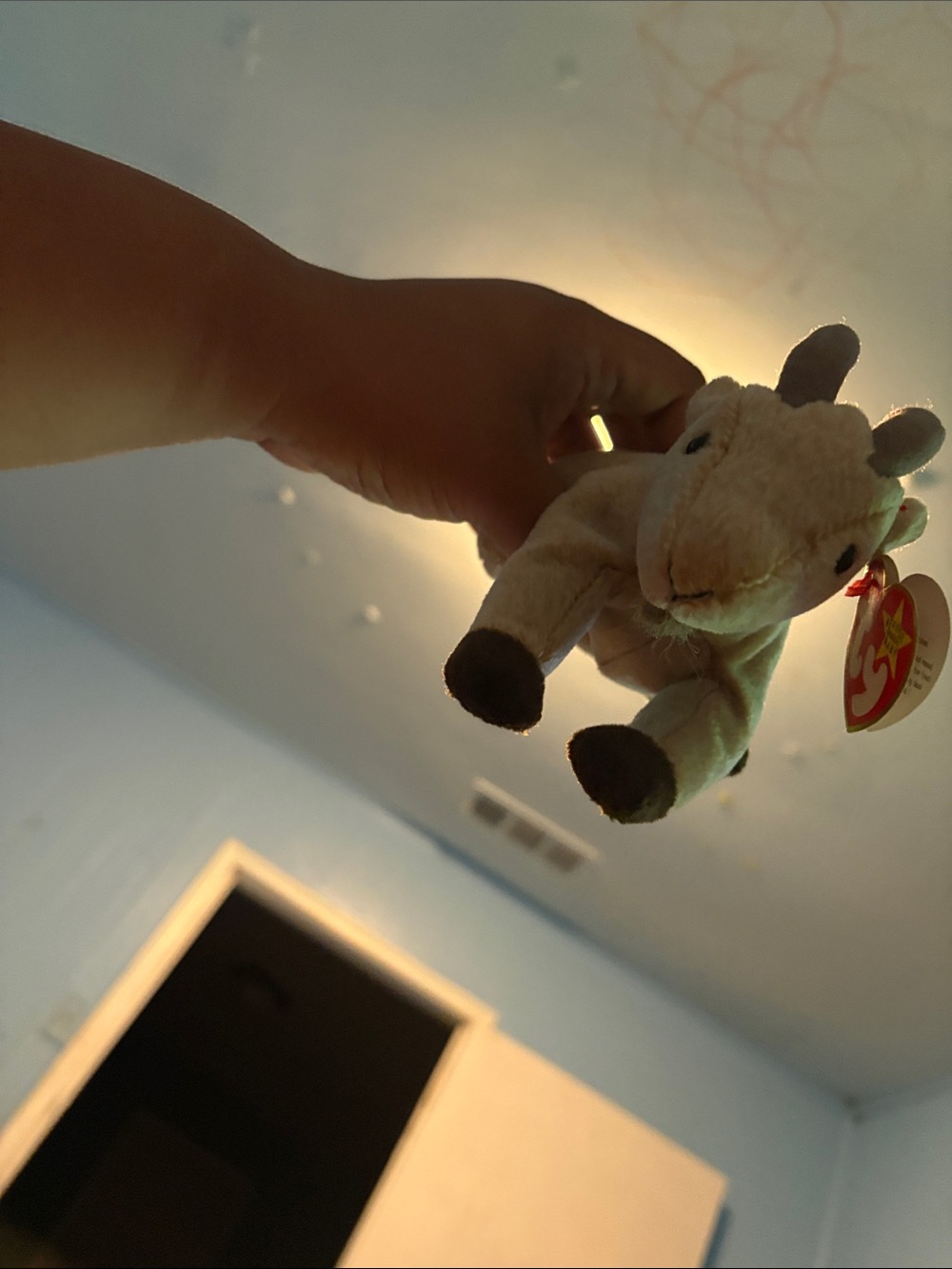 TY Beanie Baby Goatee the Goat